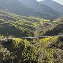 黄山旅游 缩略图 9