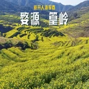 黄山旅游 缩略图 1