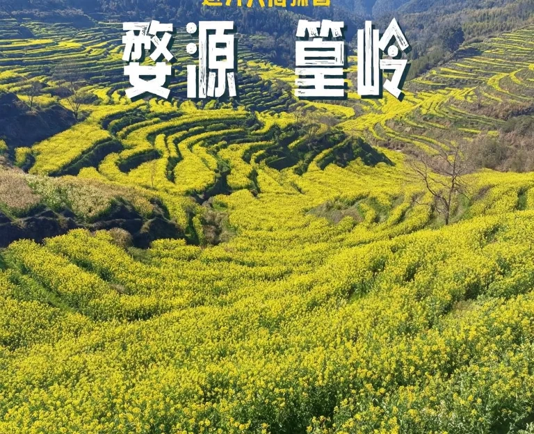 黄山旅游 1