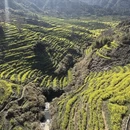 黄山旅游 缩略图 6