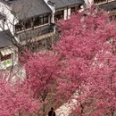 上饶旅游 缩略图 8