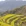 黄山