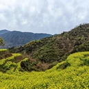 黄山旅游 缩略图 4