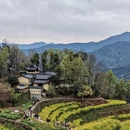 黄山旅游 缩略图 3