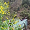 黄山旅游 缩略图 9