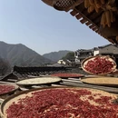 黄山旅游 缩略图 1