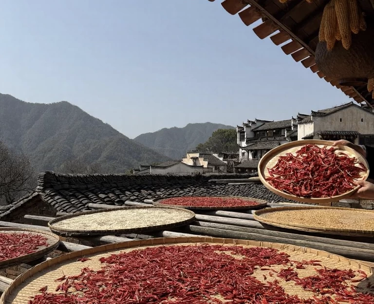 黄山旅游 1