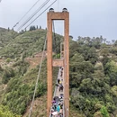 黄山旅游 缩略图 12