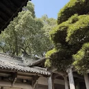 黄山旅游 缩略图 6