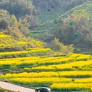 黄山旅游 缩略图 2