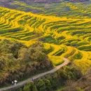 黄山旅游 缩略图 3