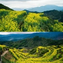 黄山旅游 缩略图 6