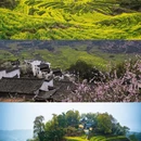 黄山旅游 缩略图 7