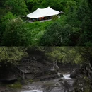 黄山旅游 缩略图 10