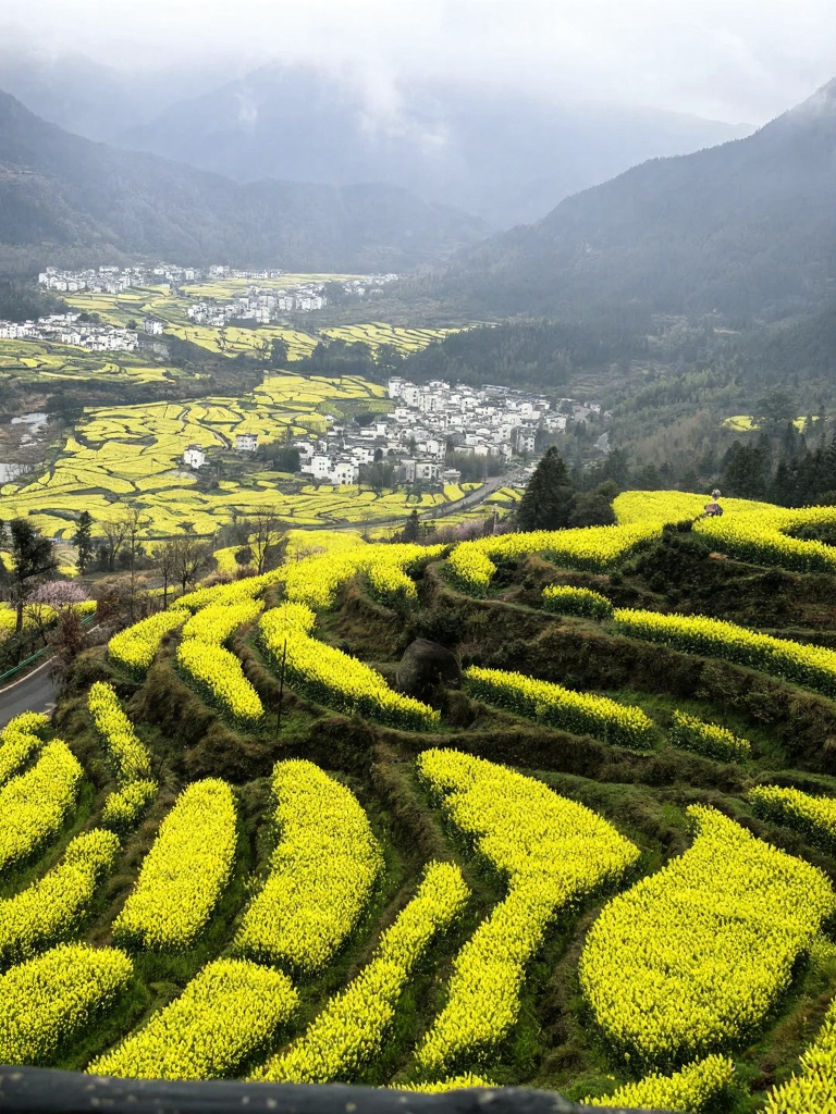 黄山旅游