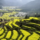 黄山旅游 缩略图 1