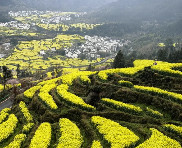 黄山旅游 1