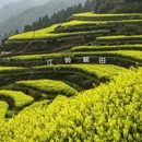 黄山旅游 缩略图 2