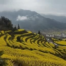 黄山旅游 缩略图 3