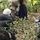 黄山旅游 缩略图 6