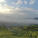 黄山旅游 缩略图 1