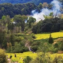 黄山旅游 缩略图 7