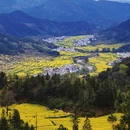 黄山旅游 缩略图 8