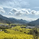 黄山旅游 缩略图 5