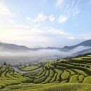 黄山旅游 缩略图 2