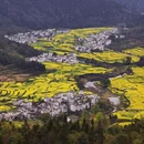 黄山旅游 缩略图 9