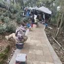 黄山旅游 缩略图 2