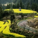 黄山旅游 缩略图 8