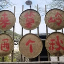 黄山旅游 缩略图 8