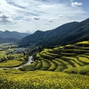 黄山旅游 缩略图 4