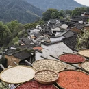 黄山旅游 缩略图 9