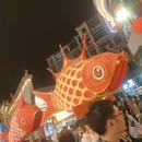 黄山旅游 缩略图 14