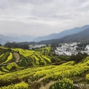 黄山旅游 缩略图 1