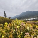 黄山旅游 缩略图 6