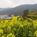 黄山旅游 缩略图 2
