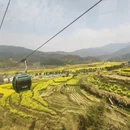 黄山旅游 缩略图 7