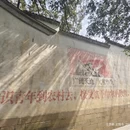 黄山旅游 缩略图 8