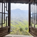 黄山旅游 缩略图 14