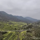 黄山旅游 缩略图 15