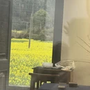 黄山旅游 缩略图 8