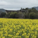 黄山旅游 缩略图 5