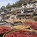 黄山旅游 缩略图 13