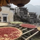 黄山旅游 缩略图 4