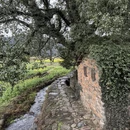 黄山旅游 缩略图 7