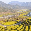 黄山旅游 缩略图 5