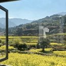 黄山旅游 缩略图 1